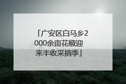 广安区白马乡2000余亩花椒迎来丰收采摘季